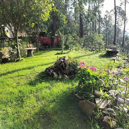 Le Jardin Almora Ξενοδοχείο Εξωτερικό φωτογραφία